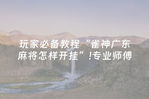 玩家必备教程“雀神广东麻将怎样开挂”!专业师傅带你一起了解（详细教程）-抖音