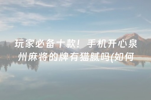 玩家必备十款！手机开心泉州麻将的牌有猫腻吗(如何打赢有插件吗)