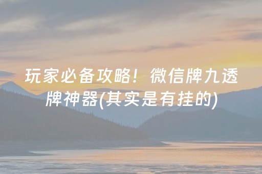 玩家必备攻略！微信牌九透牌神器(其实是有挂的)