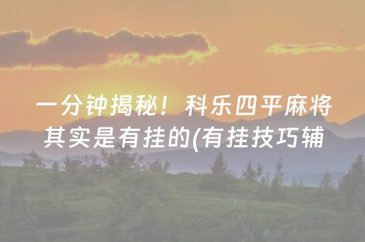 玩家必备教程“程序麻将机软件（助赢神器通用版）