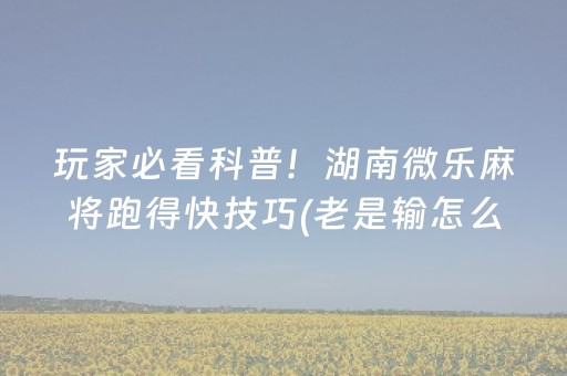 玩家实测“雀神秘籍安卓app下载（专用辅牌神器免安装）