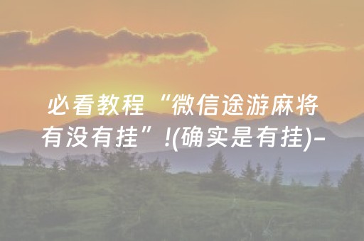 我来教大家“微乐山西麻将专用神器（专用辅牌神器免安装）