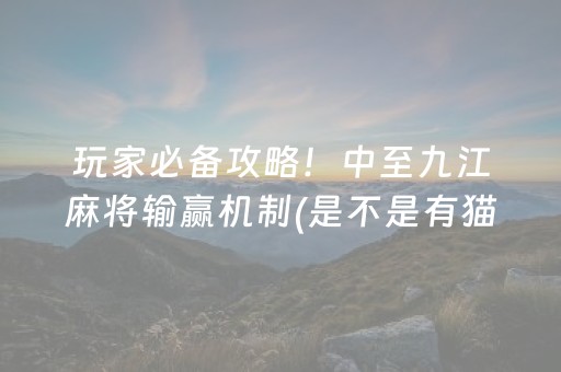 玩家必备攻略！中至九江麻将输赢机制(是不是有猫腻)