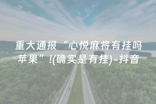 3分钟学会“雀神广东麻将助赢神器（专用辅牌神器免安装）