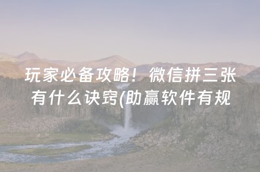 实测分享“微乐广西麻将插件购买”（详细辅助教程）-哔哩哔哩