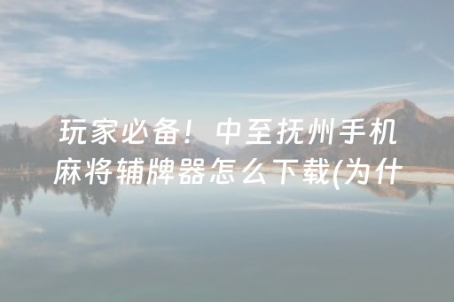 玩家必备！中至抚州手机麻将辅牌器怎么下载(为什么老是输)