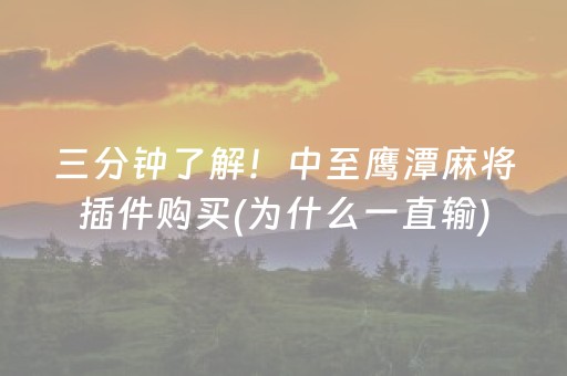三分钟了解！中至鹰潭麻将插件购买(为什么一直输)