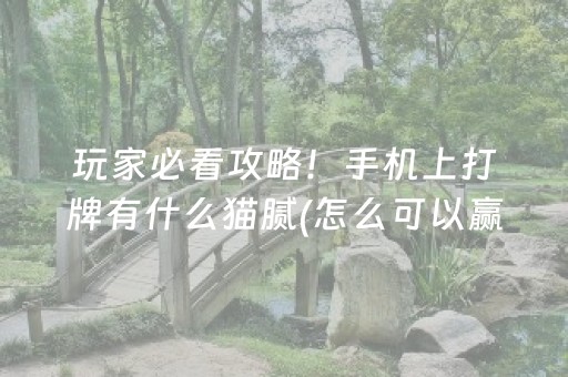玩家必看攻略！手机上打牌有什么猫腻(怎么可以赢)