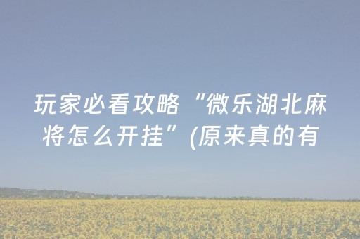 玩家必看攻略“微乐湖北麻将怎么开挂”(原来真的有挂)-抖音