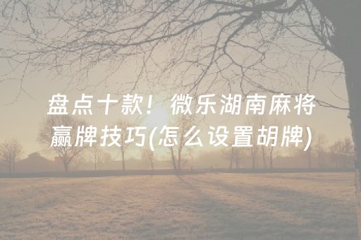 盘点十款！微乐湖南麻将赢牌技巧(怎么设置胡牌)