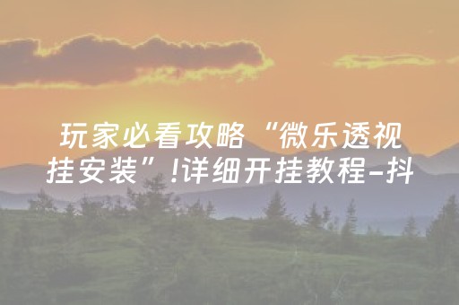玩家必看攻略“微乐透视挂安装”!详细开挂教程-抖音