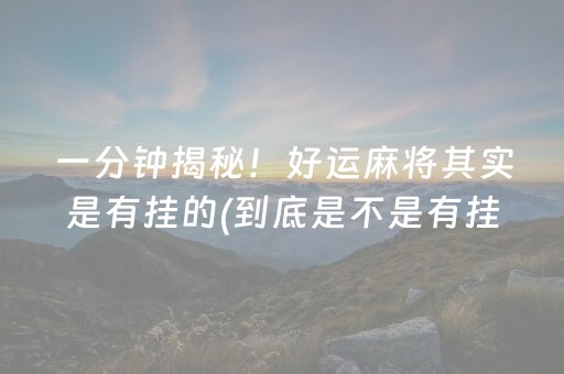 我来教大家“棋牌室麻将机助赢神器（助赢神器通用版）