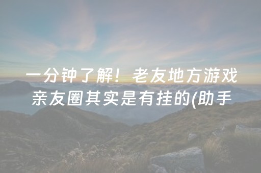 玩家实测“中至小程序辅助器（专用辅牌神器免安装）