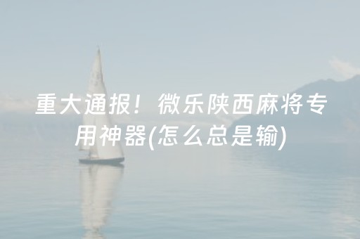 终于发现了“九九麻将软挂神器（专用辅牌神器免安装）