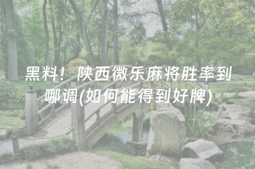 教程辅助“微乐山西斗地主有挂吗（助赢神器通用版）