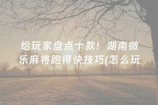 给玩家盘点十款！湖南微乐麻将跑得快技巧(怎么玩赢几率大)