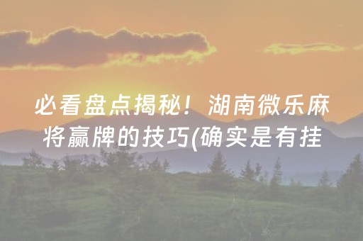 必看盘点揭秘！湖南微乐麻将赢牌的技巧(确实是有挂)