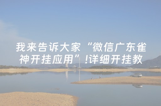 我来教大家“微信跑得快小程序辅助器免费（助赢神器通用版）
