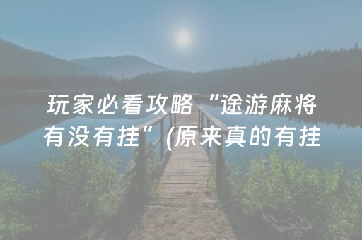 玩家必看攻略“途游麻将有没有挂”(原来真的有挂)-抖音