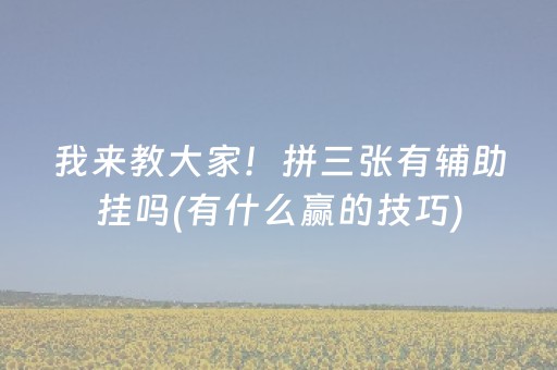 我来教大家！拼三张有辅助挂吗(有什么赢的技巧)