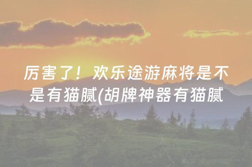 厉害了！欢乐途游麻将是不是有猫腻(胡牌神器有猫腻吗)