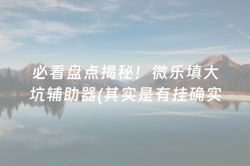 必看盘点揭秘！微乐填大坑辅助器(其实是有挂确实有挂)