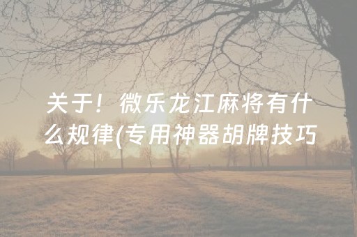 实测结果“微乐辽宁麻将专用神器（助赢神器通用版）