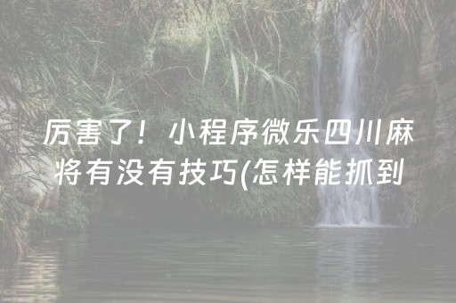 玩家必看攻略“微信小程序微乐麻将胡牌神器（助赢神器通用版）