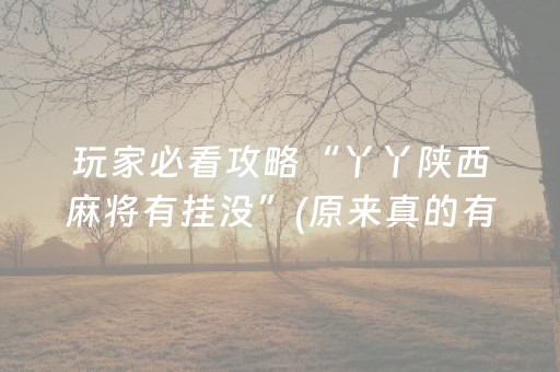 玩家必看攻略“丫丫陕西麻将有挂没”(原来真的有挂)-抖音