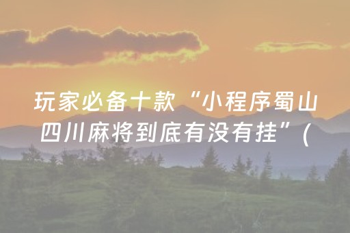 玩家必看攻略“小程序麻将控牌神器（助赢神器通用版）