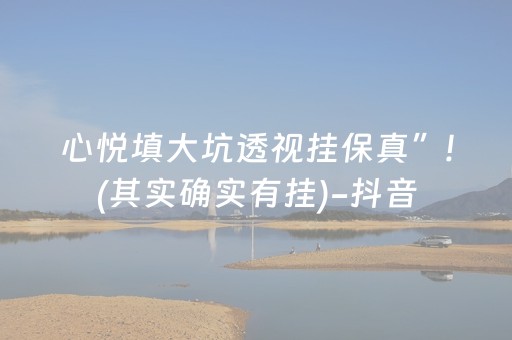实测分析“小程序麻将铺牌器购买”（详细辅助教程）-哔哩哔哩