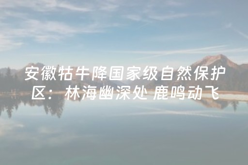 实测结果“微乐安徽麻将专用神器（助赢神器通用版）