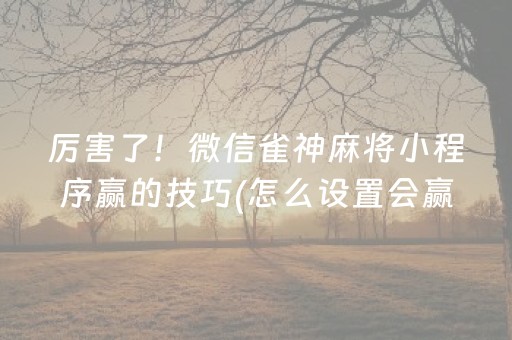 厉害了！微信雀神麻将小程序赢的技巧(怎么设置会赢)