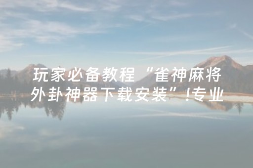 玩家必备教程“雀神麻将外卦神器下载安装”!专业师傅带你一起了解（详细教程）-抖音