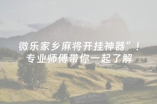 微乐家乡麻将开挂神器”!专业师傅带你一起了解（详细教程）-抖音
