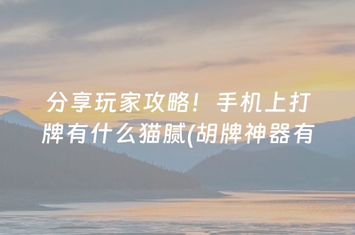 分享玩家攻略！手机上打牌有什么猫腻(胡牌神器有猫腻吗)