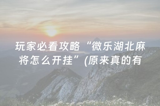 玩家必备教程“麻友圈2辅助软件（专用辅牌神器免安装）