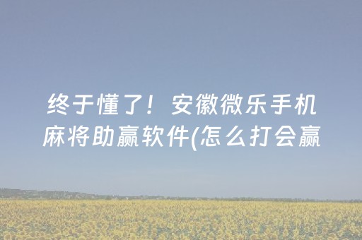 终于懂了！安徽微乐手机麻将助赢软件(怎么打会赢)
