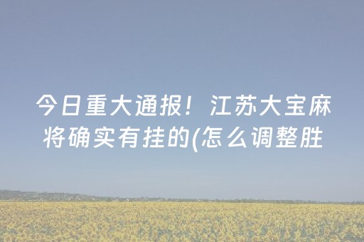 今日重大通报！江苏大宝麻将确实有挂的(怎么调整胜率)