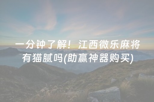 一分钟了解！江西微乐麻将有猫腻吗(助赢神器购买)