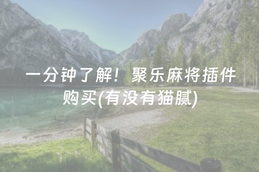 一分钟了解！聚乐麻将插件购买(有没有猫腻)