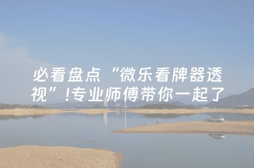 必看盘点“微乐看牌器透视”!专业师傅带你一起了解（详细教程）-抖音