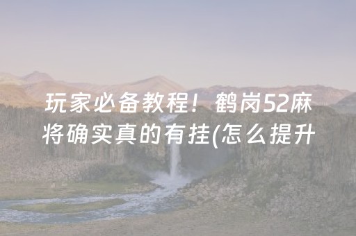 玩家必备教程！鹤岗52麻将确实真的有挂(怎么提升胜率)