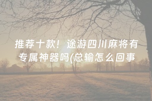 推荐十款！途游四川麻将有专属神器吗(总输怎么回事)