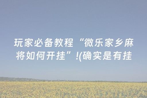 玩家必备教程“微乐家乡麻将如何开挂”!(确实是有挂)-抖音