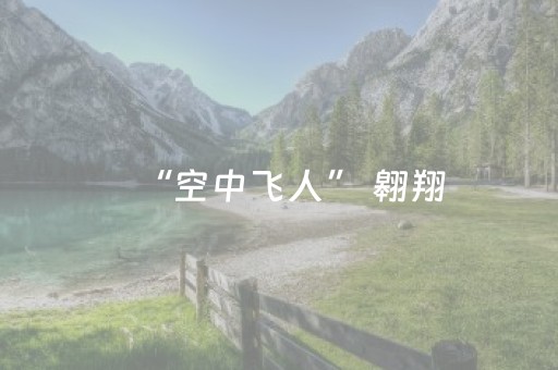 教程辅助“陌陌扫雷软件”（详细透视教程）-哔哩哔哩