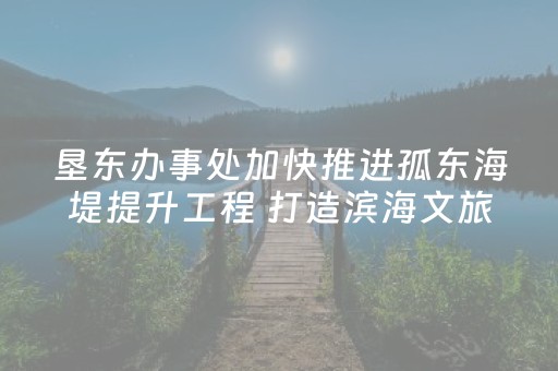 垦东办事处加快推进孤东海堤提升工程 打造滨海文旅靓丽风景线