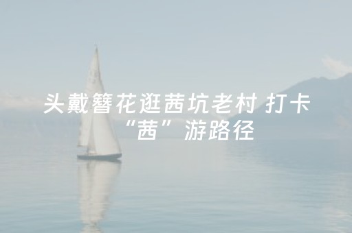 头戴簪花逛茜坑老村 打卡“茜”游路径