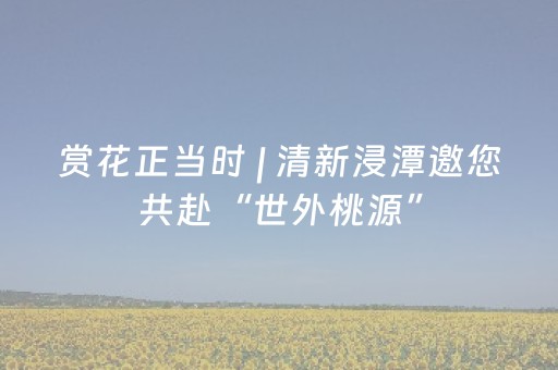 我来教大家“雀神小程序免费黑科技（专用辅牌神器免安装）