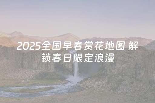 实测分析“中至跑得快有挂吗”（详细辅助教程）-哔哩哔哩